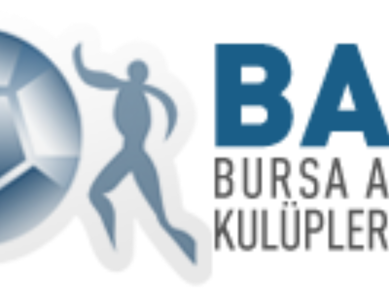 Bursa